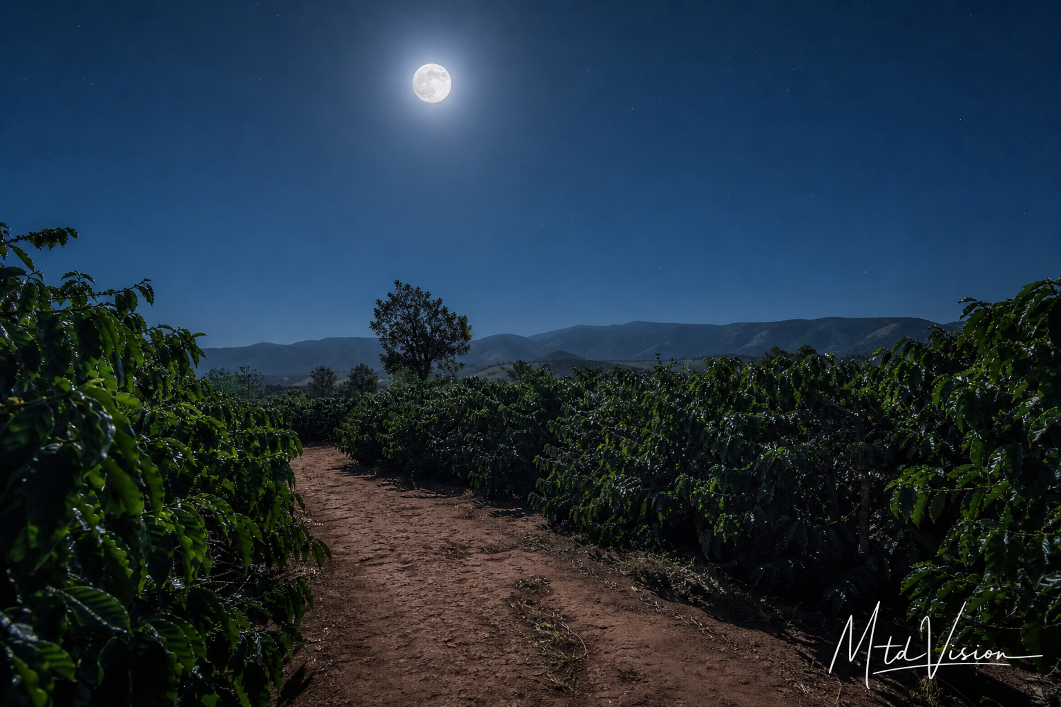 Bright, of moonlight.