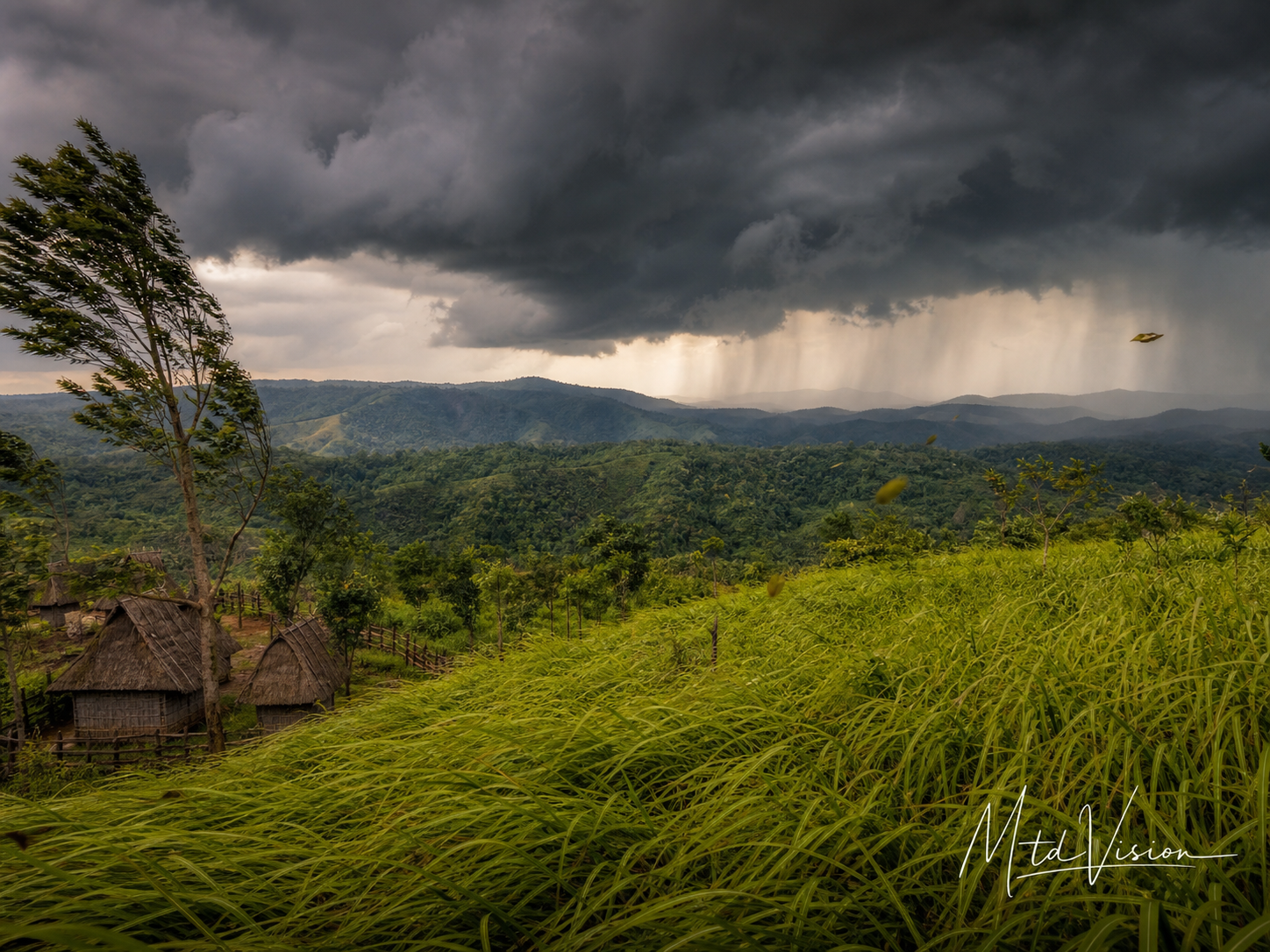 Expressive describing approaching rain.