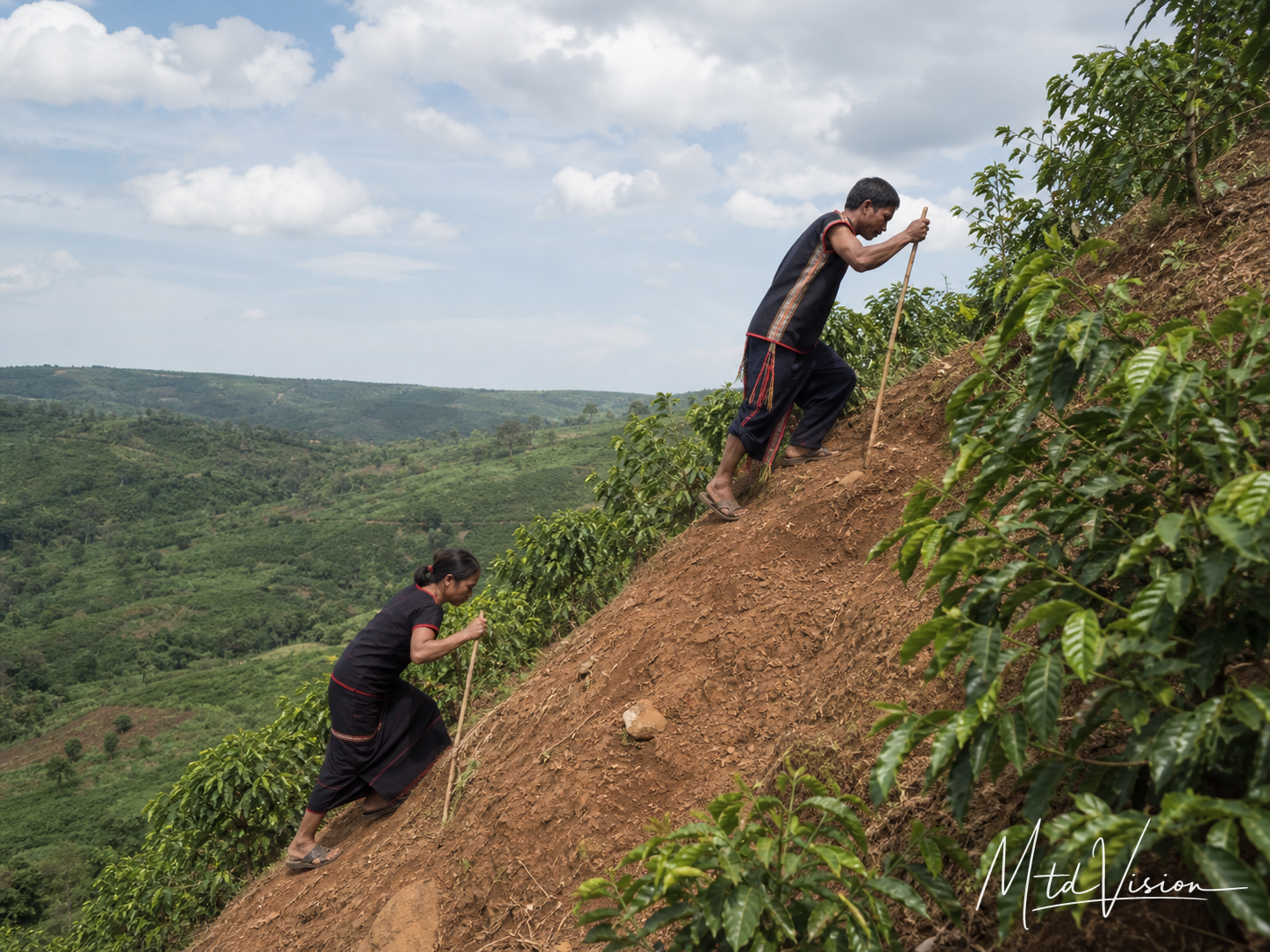 Steep, upright, or vertical.