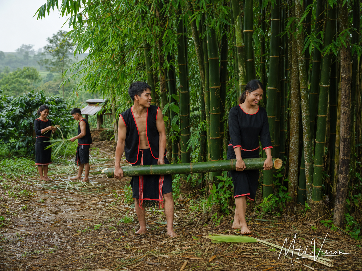 Kind of large bamboo.
