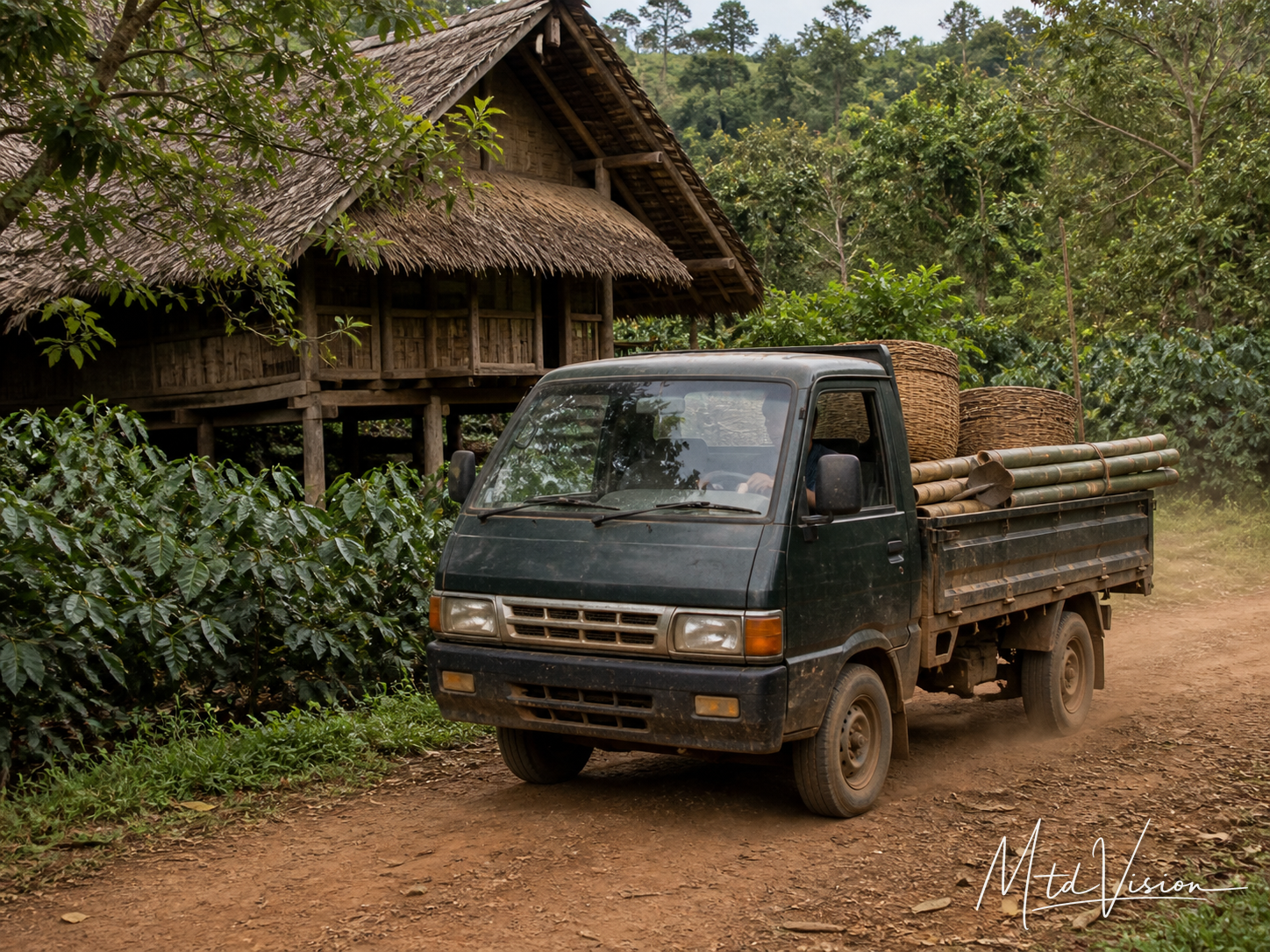 Vehicle.