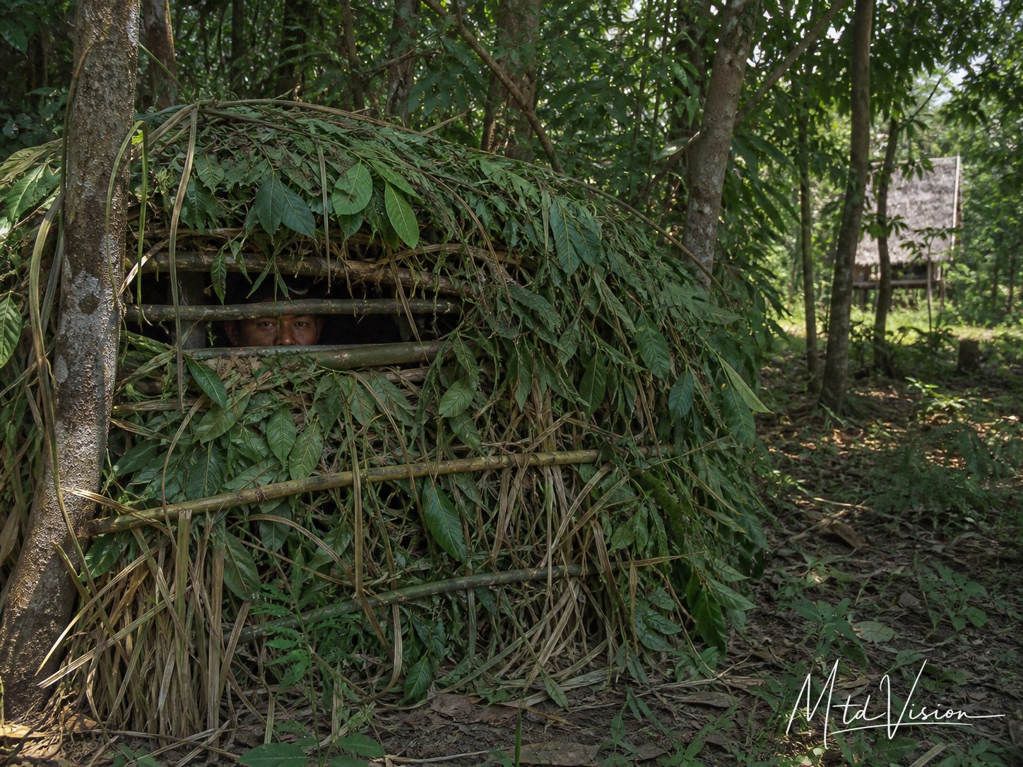 Hunting blind; camouflage.
